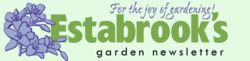 Estabrook's Newsletter