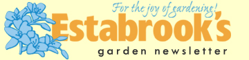 Estabrook's Newsletter