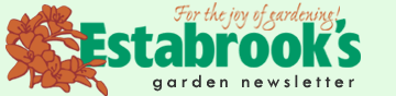 Estabrook's Newsletter