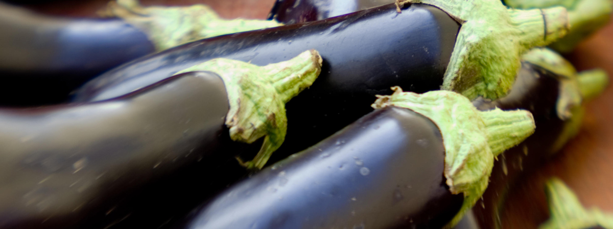 Eggplant