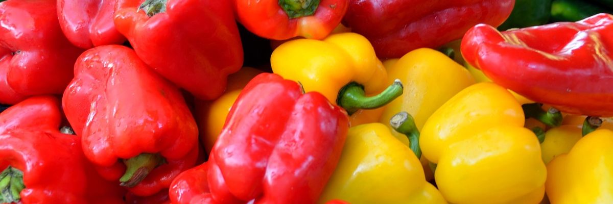 Pepper