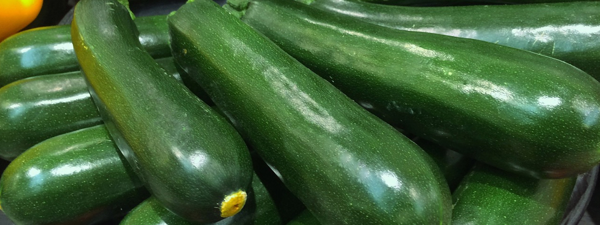 Zucchini