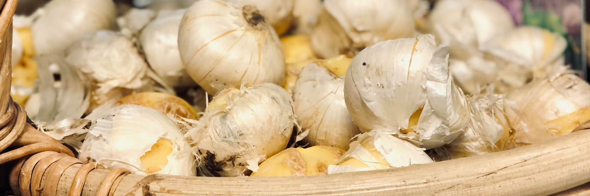 Bulbs