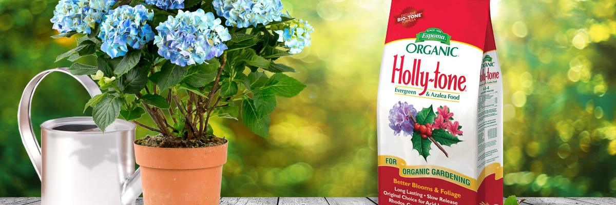 Fertilizers