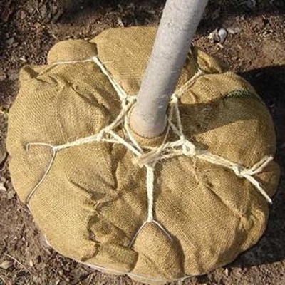 Balled & Burlap