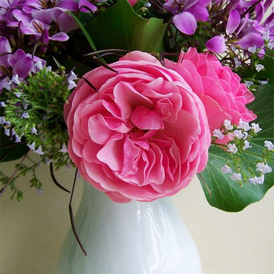 Cut Flowers