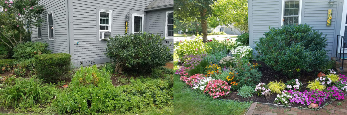 Garden Consultations