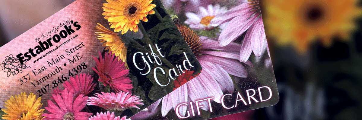 Gift Cards