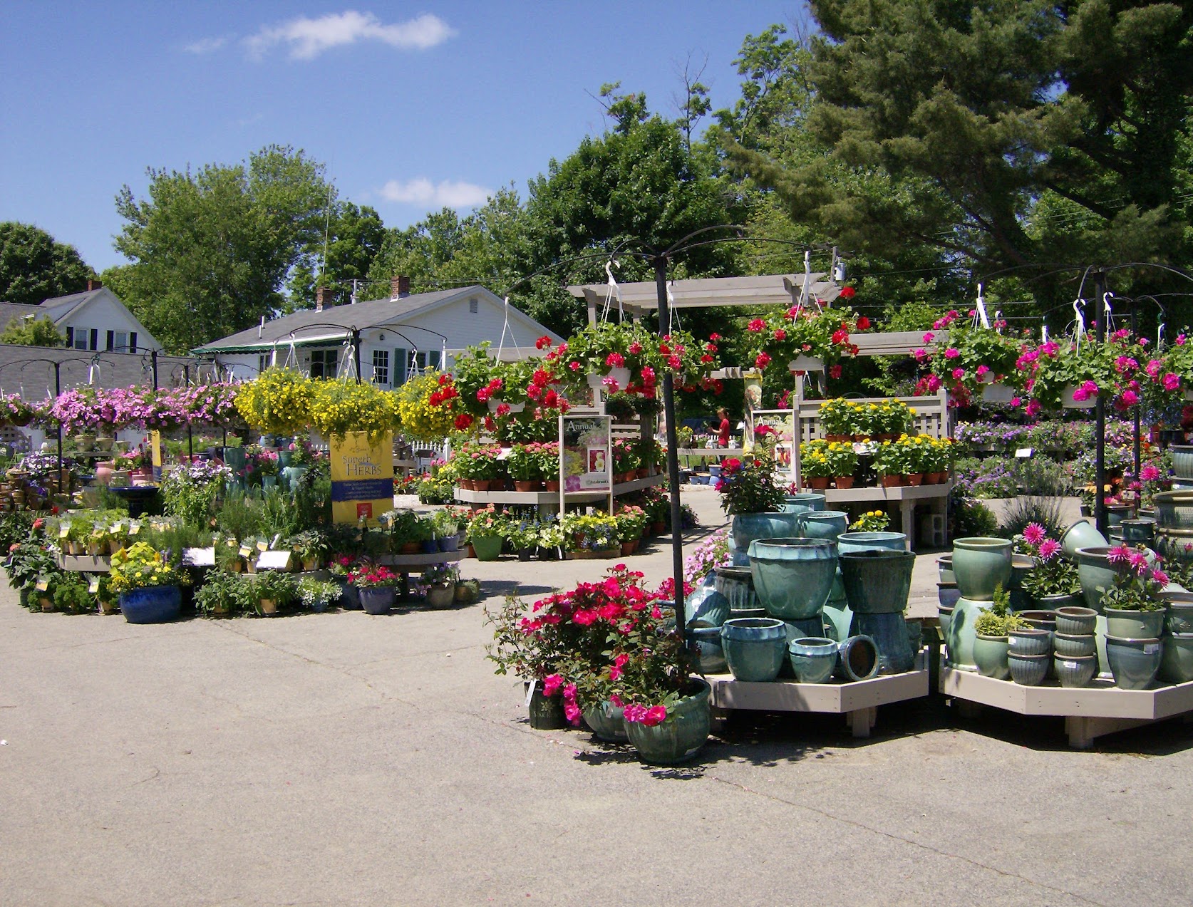 Historic Estabrook's display of annual flowers, hanging baskets and pottery