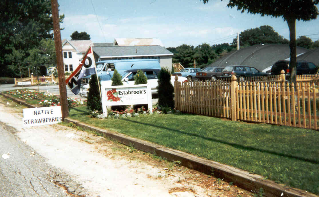 Historic Estabrook's roadside sign advertising native strawberries