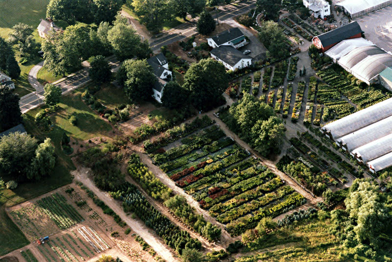 Historic aerial view of the Estabrook's Yarmouth property, fields and greenhouses