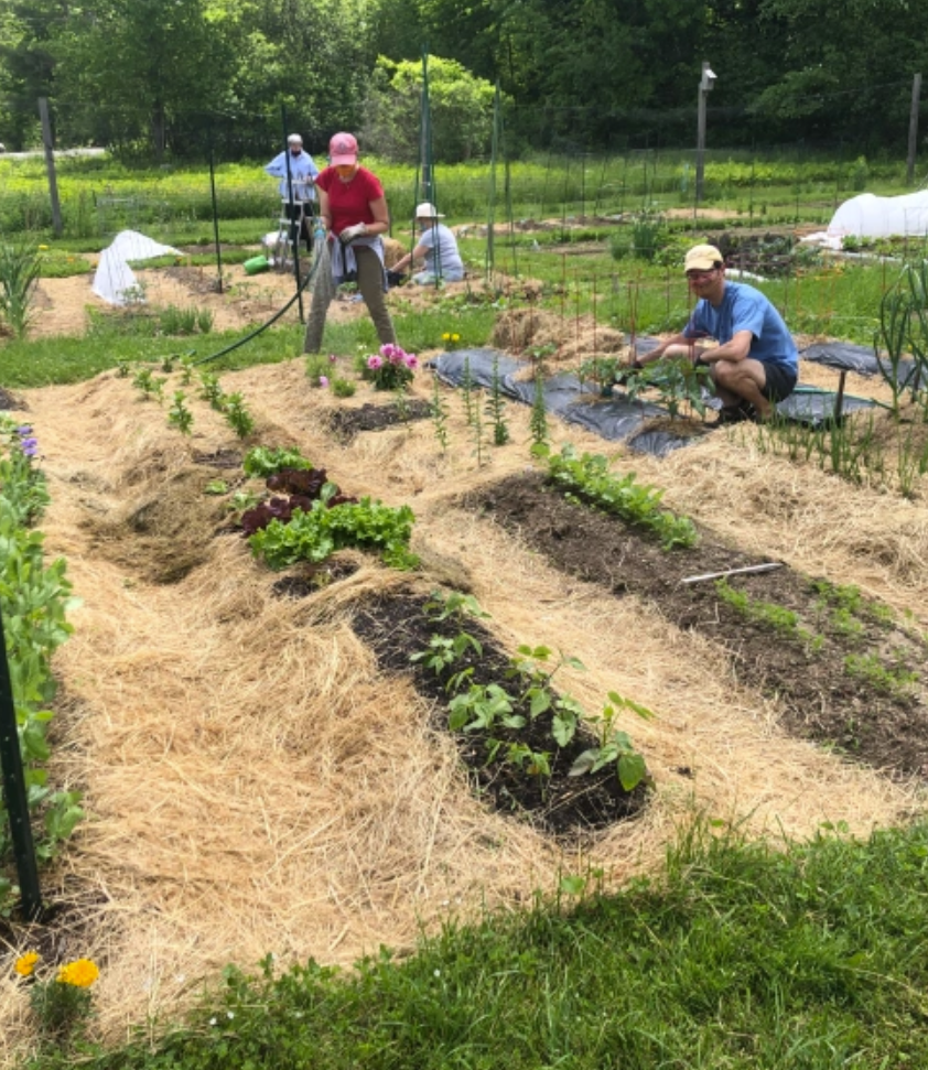 Volunteers tending plots at the Yarmouth Community Garden
