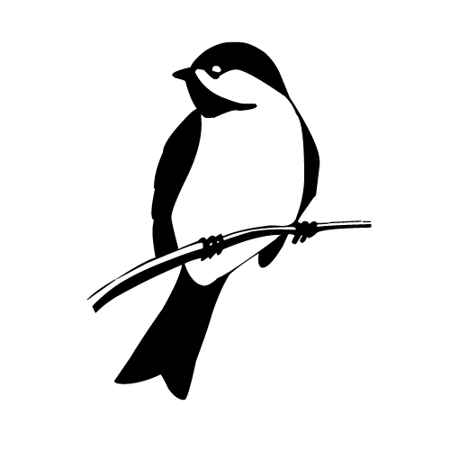 Attracts Birds
