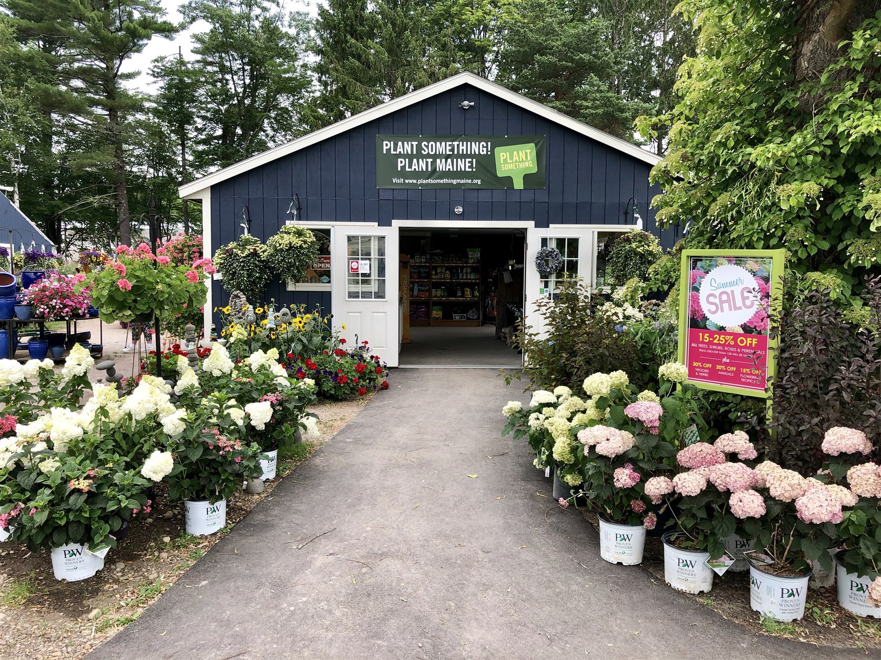 Flowering plants at the entrance to Estabrook's Kennebunk