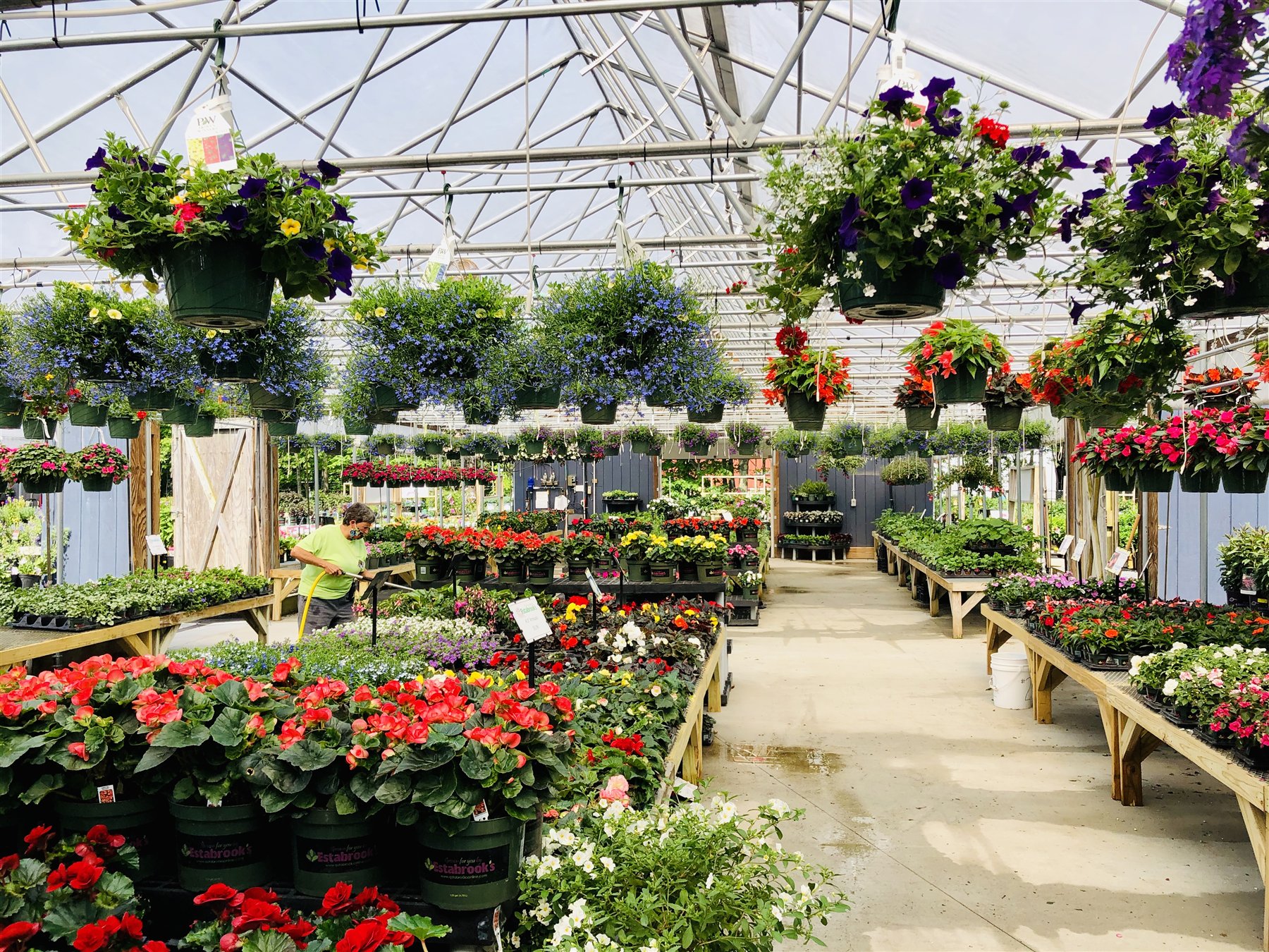 Main greenhouse aisle at Estabrook's Kennebunk