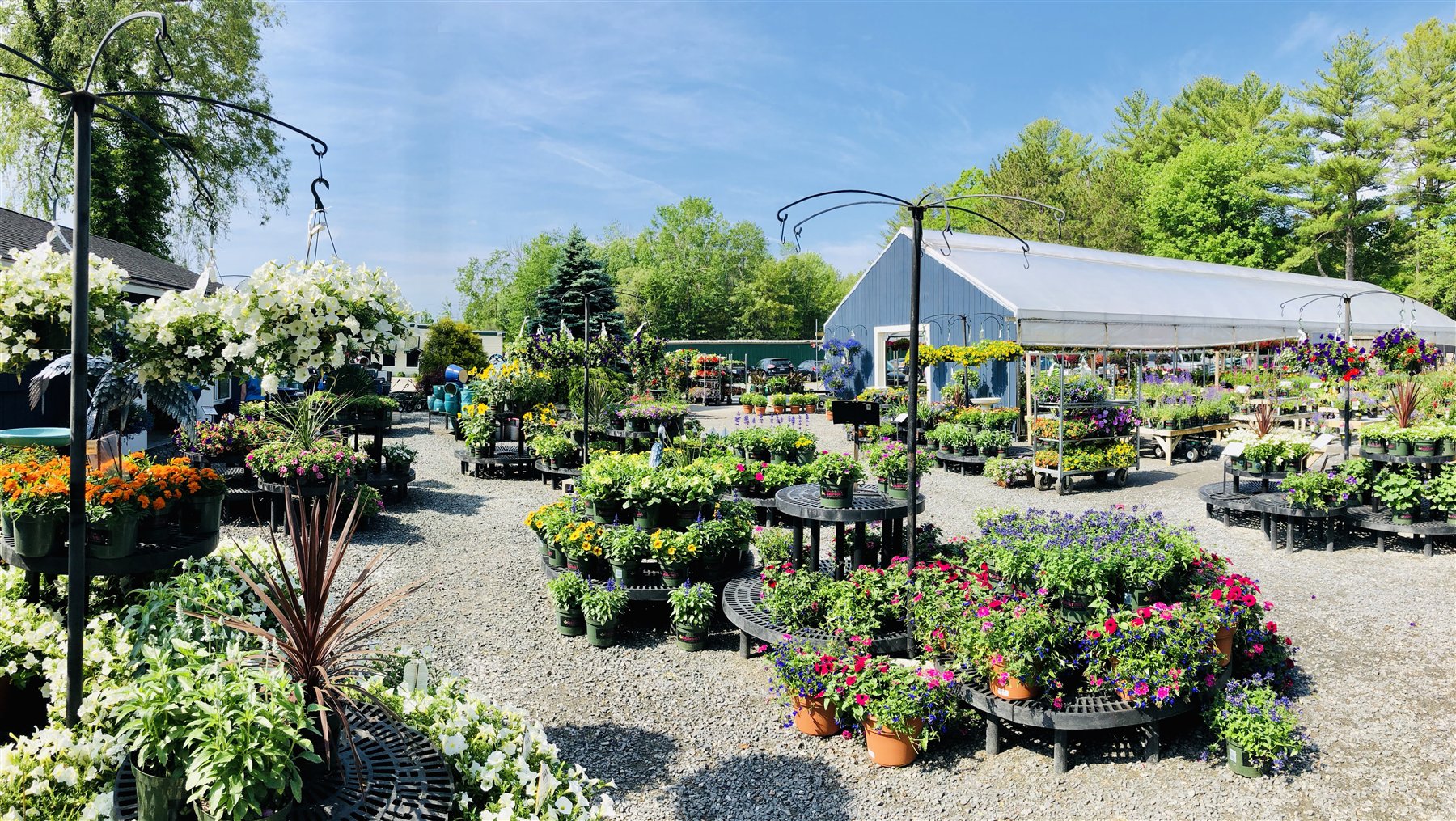 Outdoor plant shopping area at Estabrook's Kennebunk