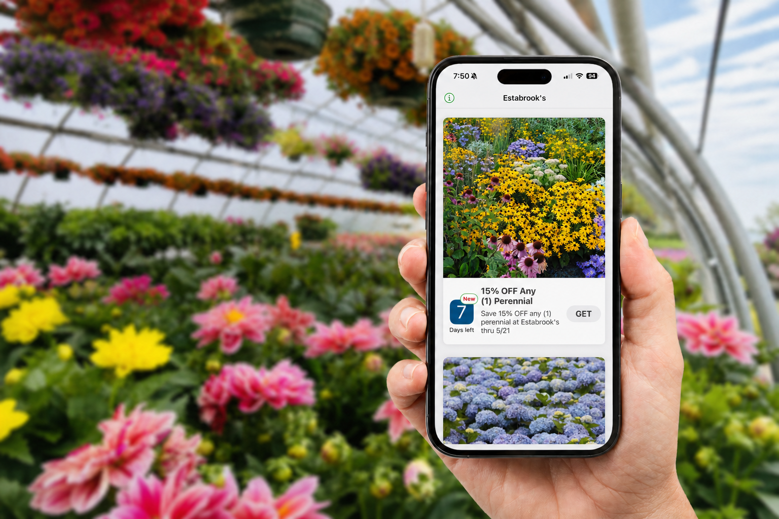 Estabrook's mobile app displaying colorful perennials inside the garden center