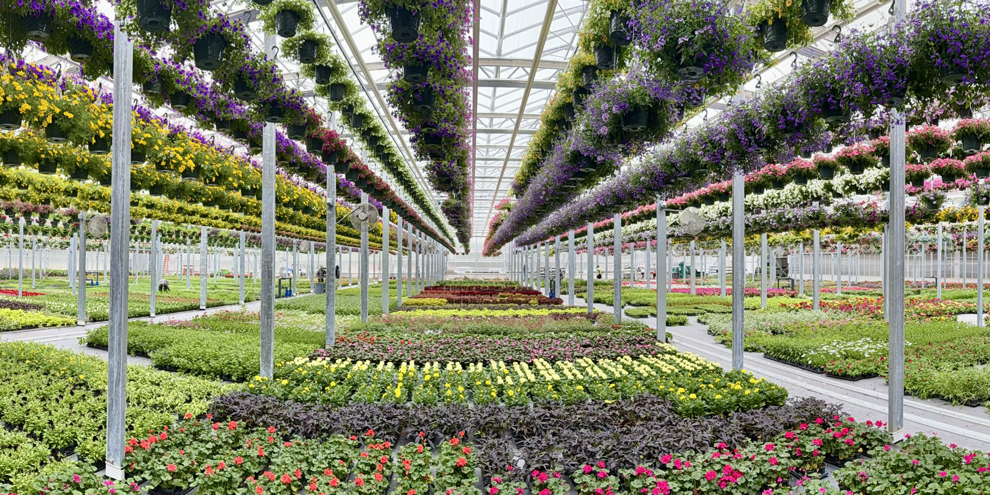 Pownal Production Greenhouse