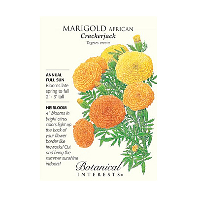 Seeds - BI Marigold African Crackerjack