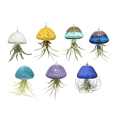 AM Jellyfish Airplant Holder - Blue
