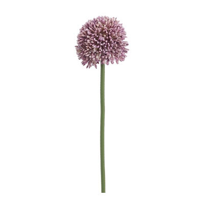 Allium Spray - Lavender