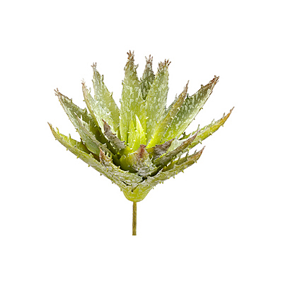 Aloe Pick - Green