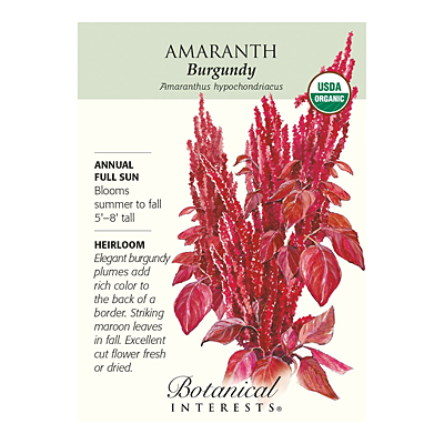 Seeds - BI Amaranth Burgundy Org