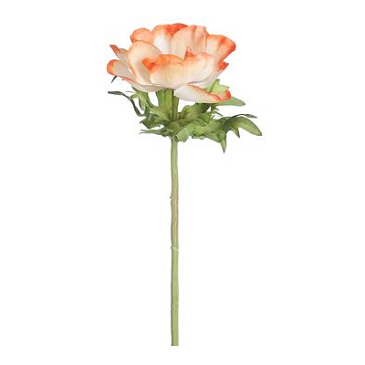 Anemone Spray - Coral/Cream