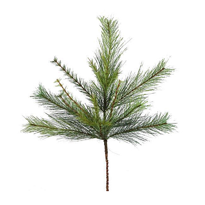 Spray - Appalachian Pine Green
