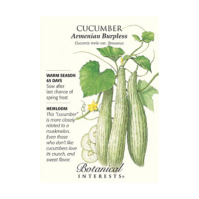 Seeds - BI Cucumber Armenian Burpless