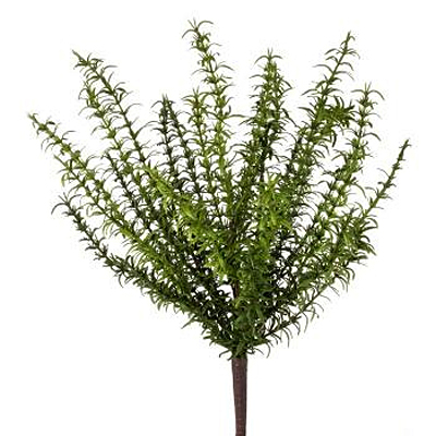 Fern - Natural Touch Asparagus
