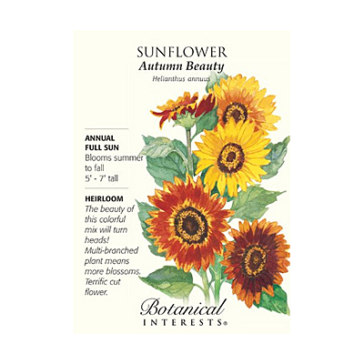 Seeds - BI Sunflower Autumn Beauty