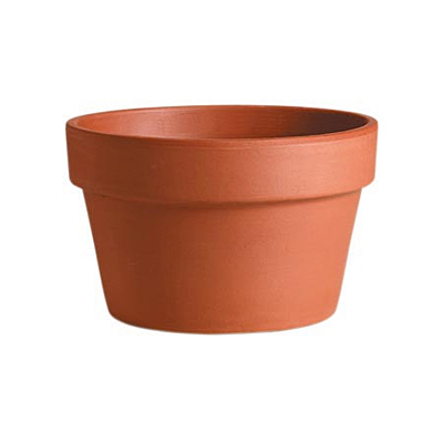 Italian Azalea Pot - Terracotta