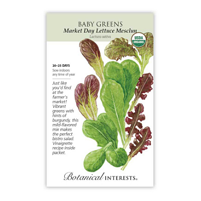 Seeds - BI Baby Greens Lettuce