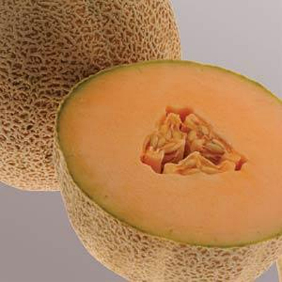 Musk Melon 'Ball 2076'
