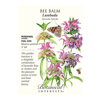 Seeds - BI Bee Balm Lambada