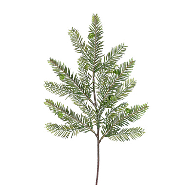 Spray - Balsam Fir