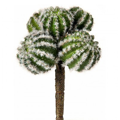 Cactus - Barrel Cluster Pick - Green