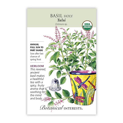 Seeds - BI Basil Holy Org