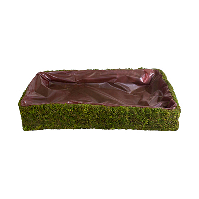 Basket - Moss Fairy Garden Rectangle