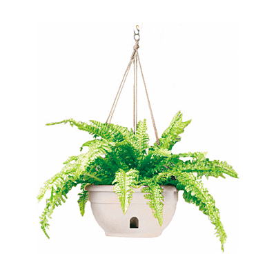 Hanging Basket - EEZY-GRO White