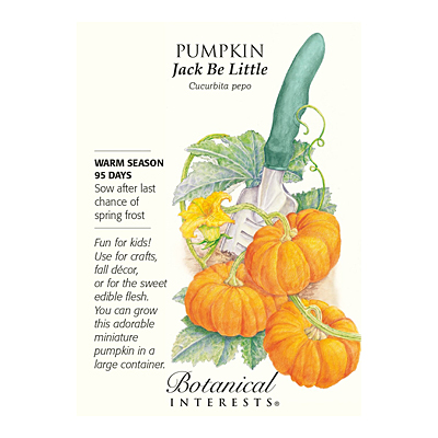 Seeds - BI Pumpkin Jack Be Little