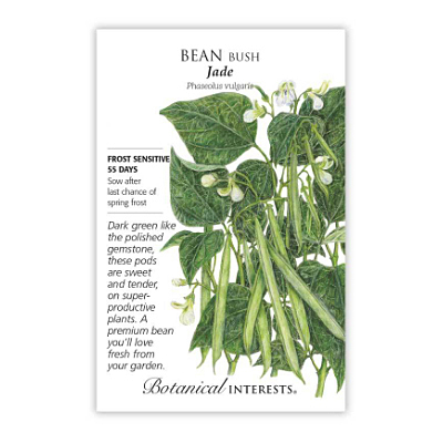 Seeds - BI Bean Bush Jade