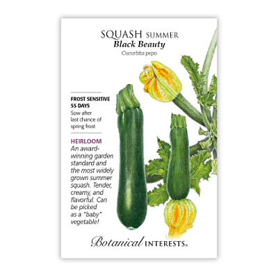 Seeds - BI Squash Summer Black Beauty Zucchini