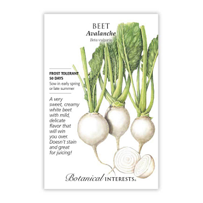 Seeds - BI Beet Avalanche