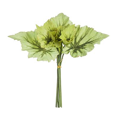 Begonia Leaf Bundle - Green x7