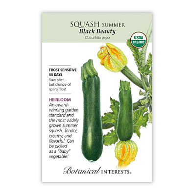 Seeds - BI Squash Summer Black Beauty Org