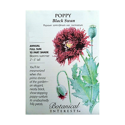 Seeds - BI Poppy Black Swan