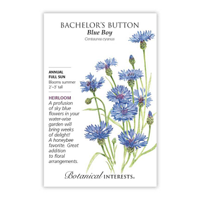 Seeds - BI Bachelor Button Blue Boy