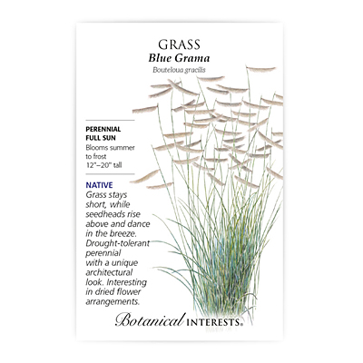 Seeds - BI Grass Blue Grama